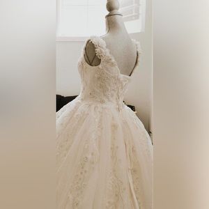 Wedding dress + crown + vail